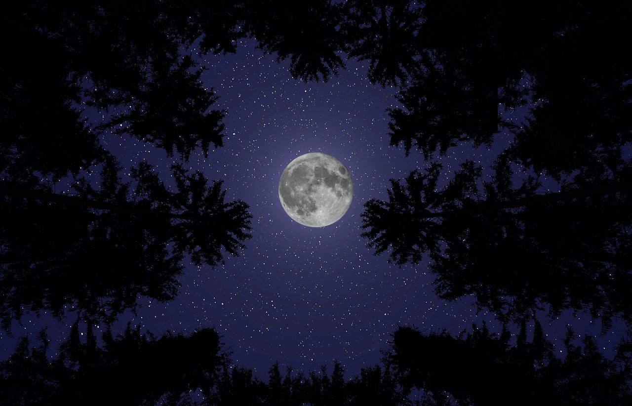 moon, night, nature-8258550.jpg